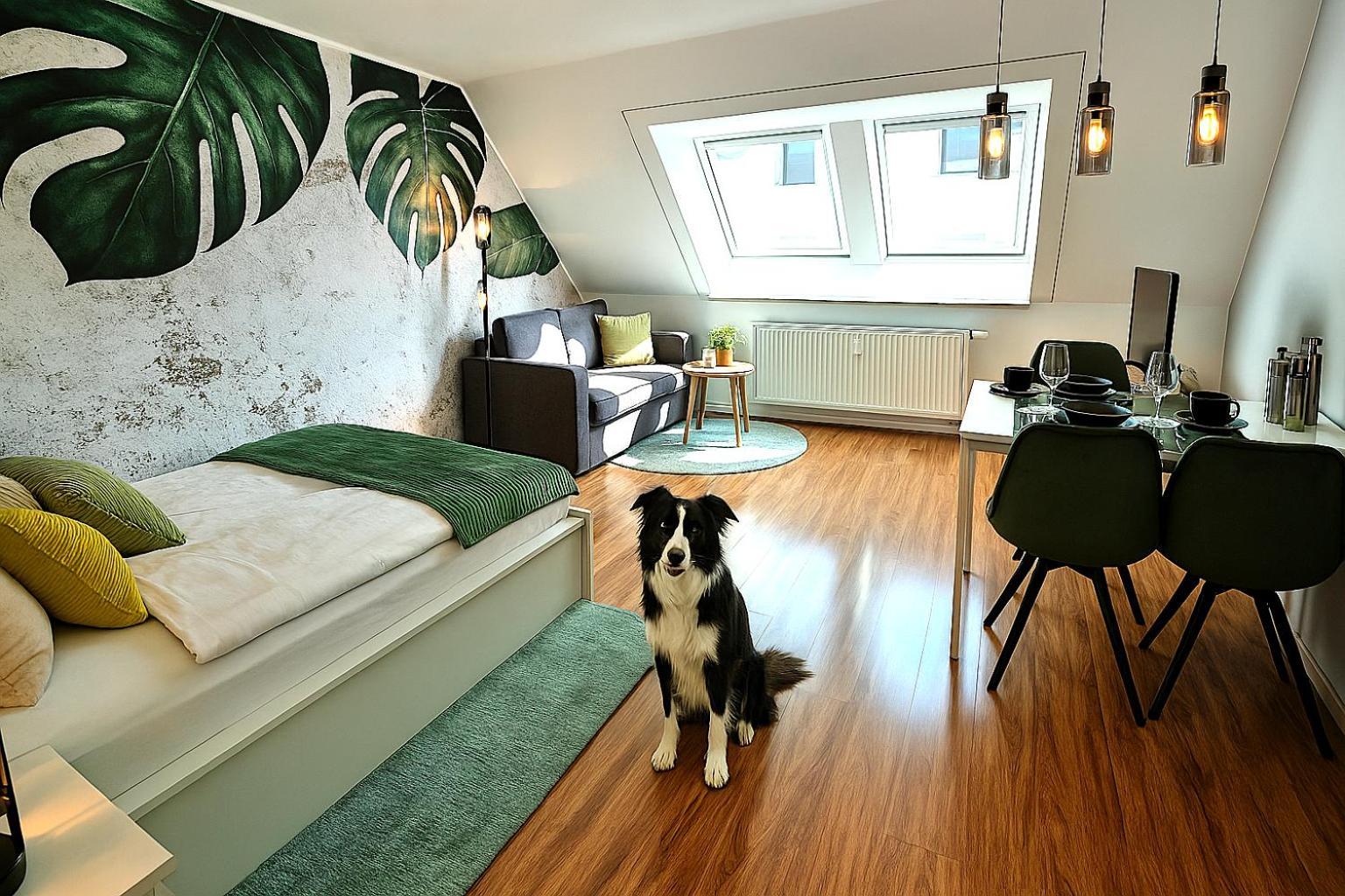 Homely Stay Serenity Greens - Stylisch Studio-Apartment With Kitchen - 10 Min To Central Station, Pet Friendly München Exteriör bild